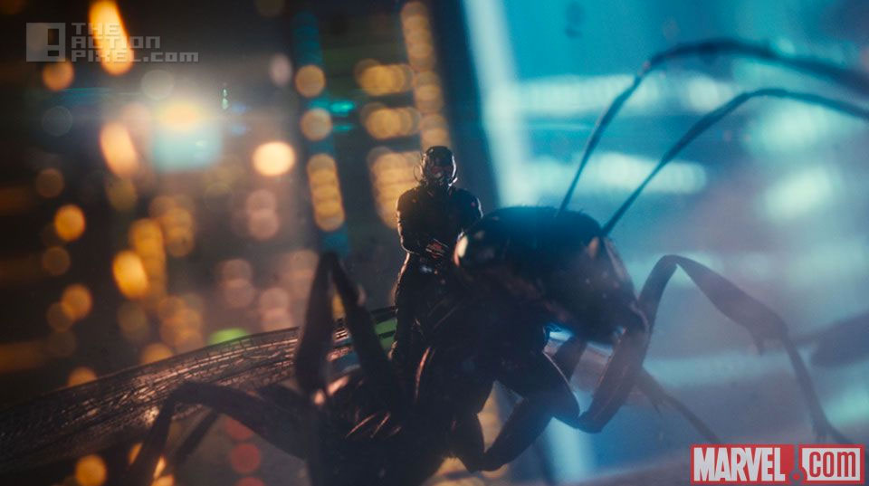 Marvels ant-man new still images. The Action Pixel. @theactionpixel #entertainmentontap