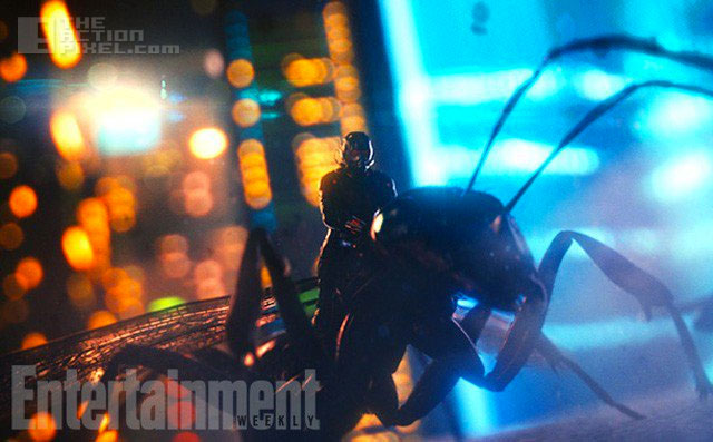 ant-man. Marvel. The action pixel. @theactionpixel