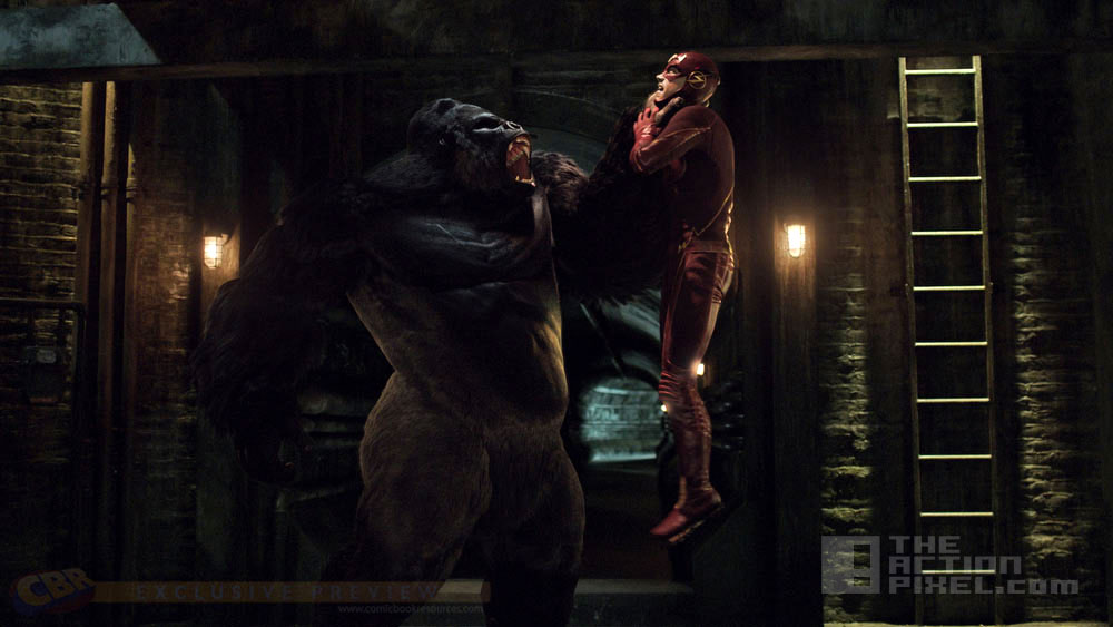 grodd lives. cw. the flash. the action pixel. @theactionpixel