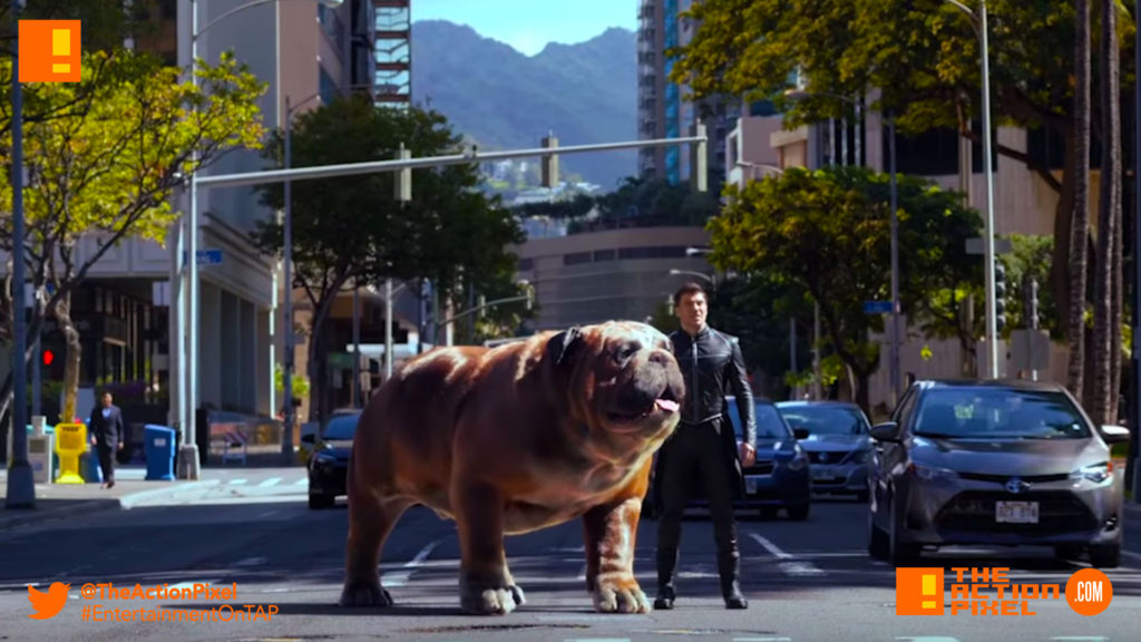 inhumans, lockjaw, black bolt, inhumans, Black Bolt, Medusa, Maximus,poster, marvel, imax, the inhumans, marvel's inhumans,the action pixel, entertainment on tap, trailer, lockjaw