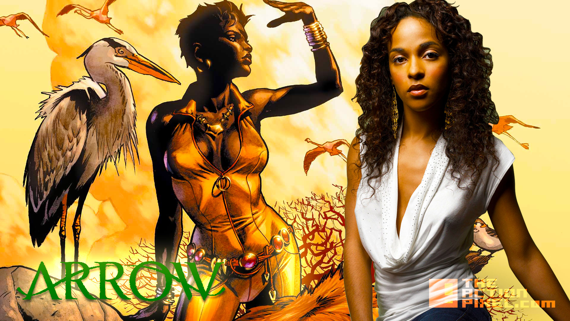 Megalyn Echikunwoke. arrow. vixen. dc comics., the cw network. the action pixel. @theactionpixel