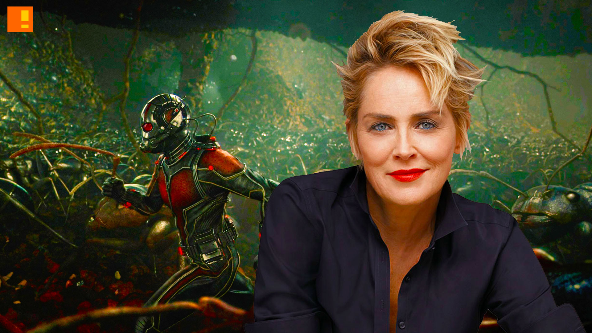 ant-man and the wasp, ant-man, ant man, sharon stone, casting, marvel, the action pixel, entertainment on tap,