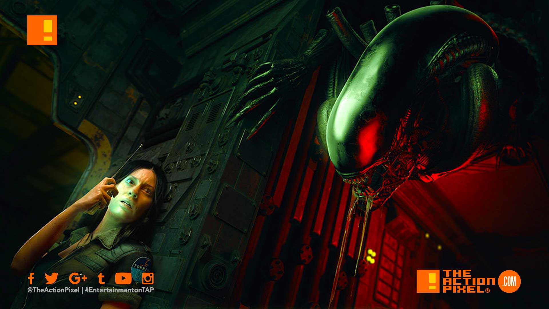 Alien Blackout Brings The Xenomorph To The Mmo Stage The
