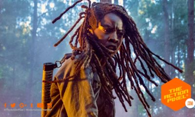 michonne, TWD Season 10, the walking dead, the walking dead season 10, the walking dead season 10 comic-con trailer, the action pixel, amc, skyvbound, entertainment on tap